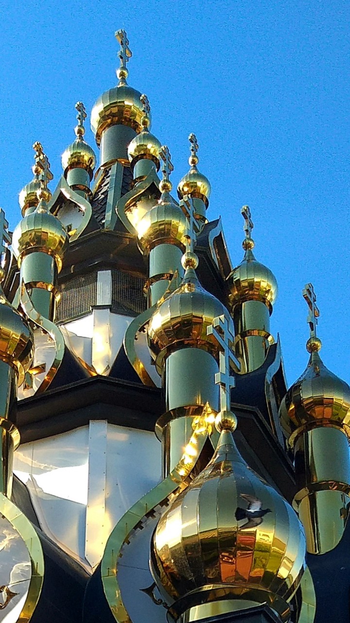 златоглавые купола
