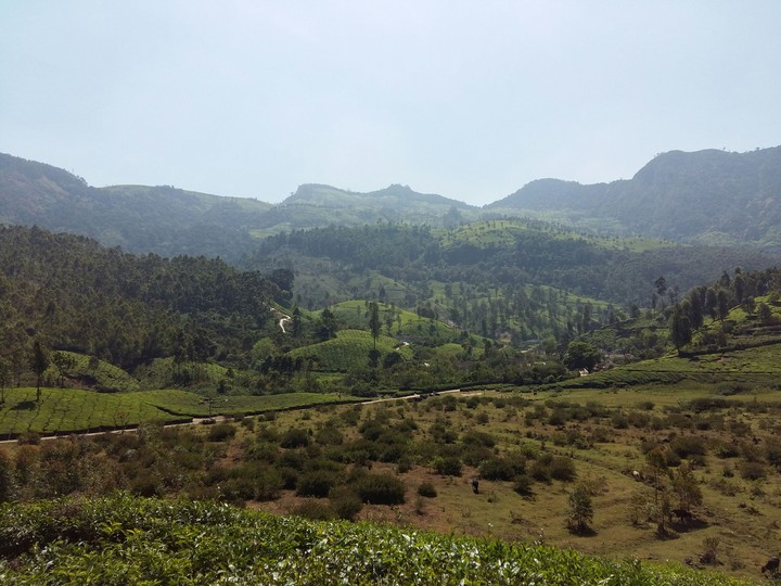 munnar