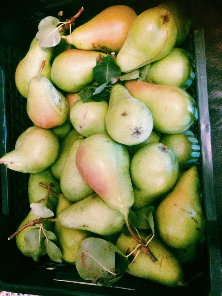 fresh and organic