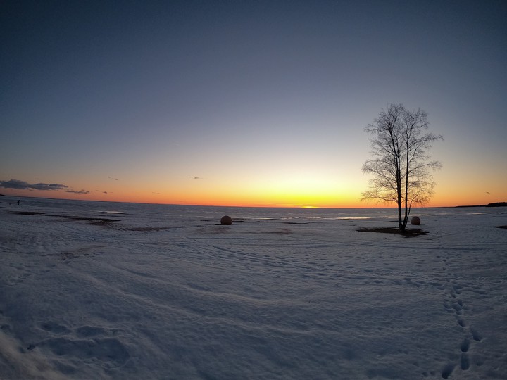 Winter sea