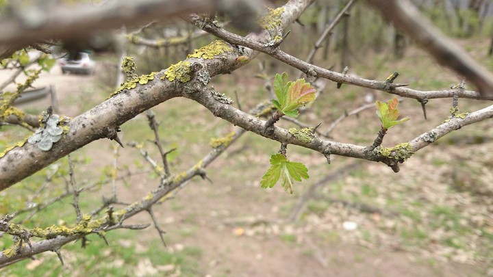 Spring in Golsetan, Iran