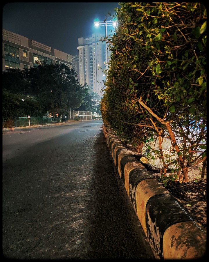 In the Night
