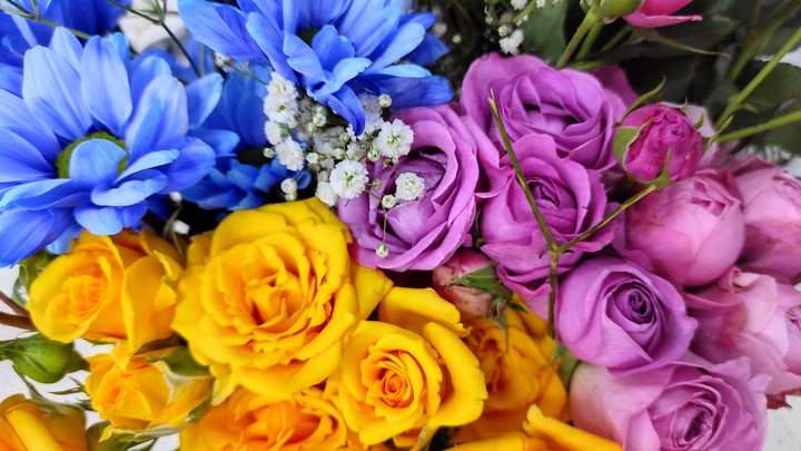 flowers