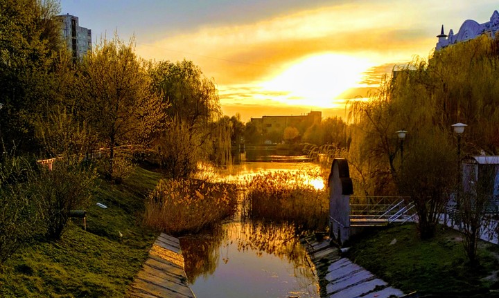 spring in the park