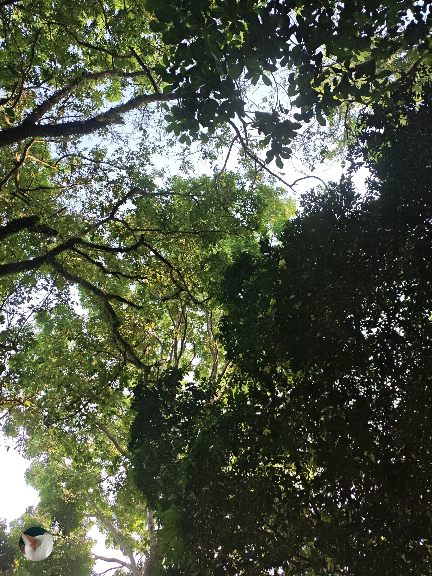 тапети daytime, sunlight