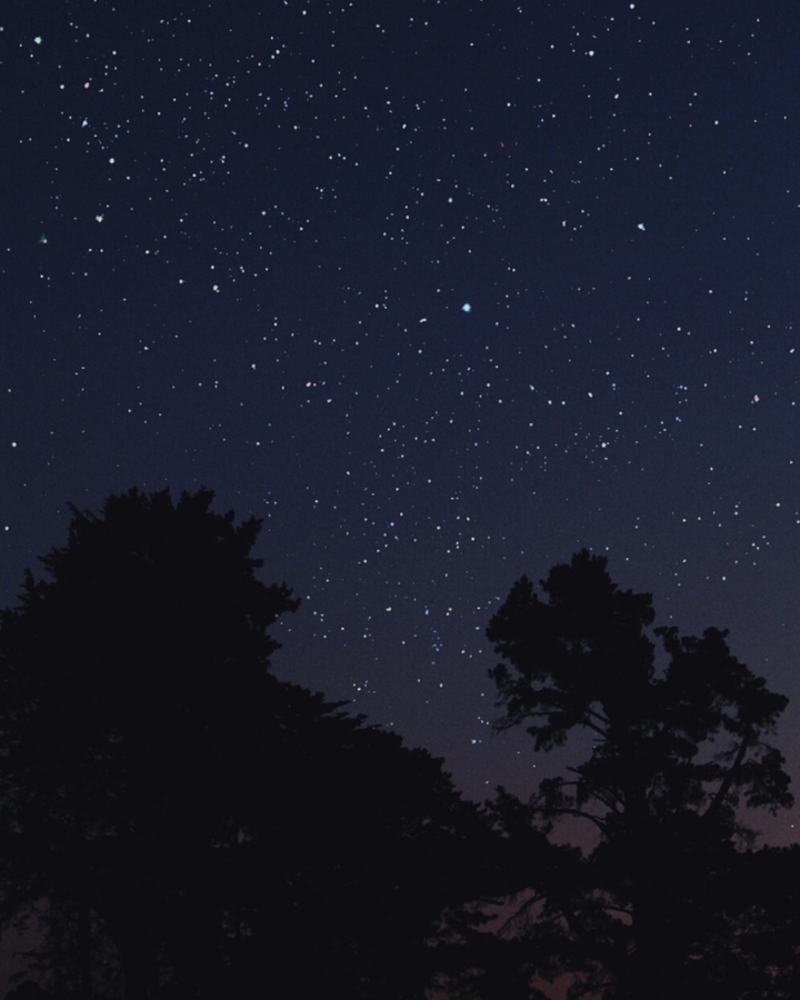 Nights