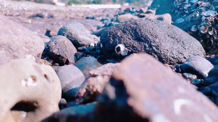 Rocks
