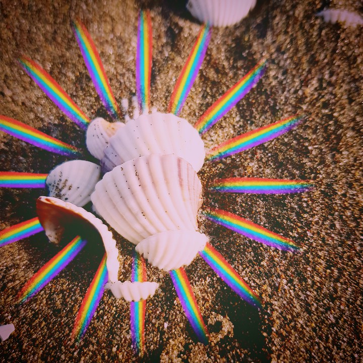 ‌