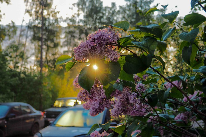 Рассвет