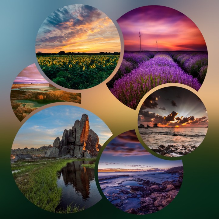 Nature's collage