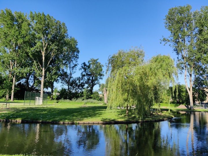 park