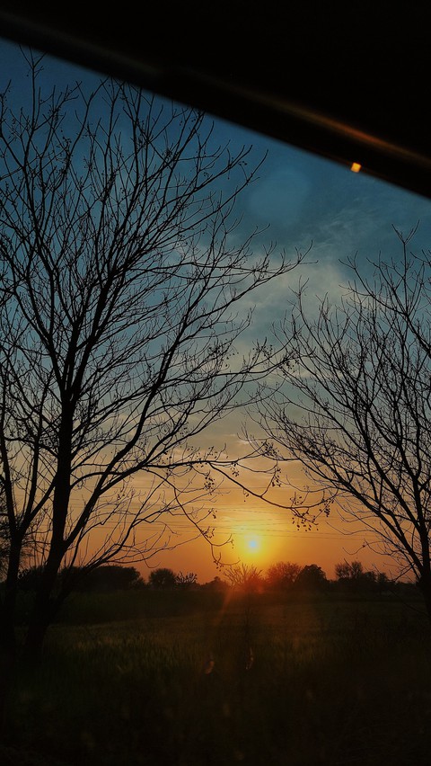 sunset