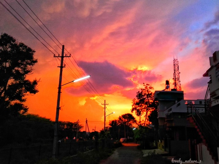 Nature Photography