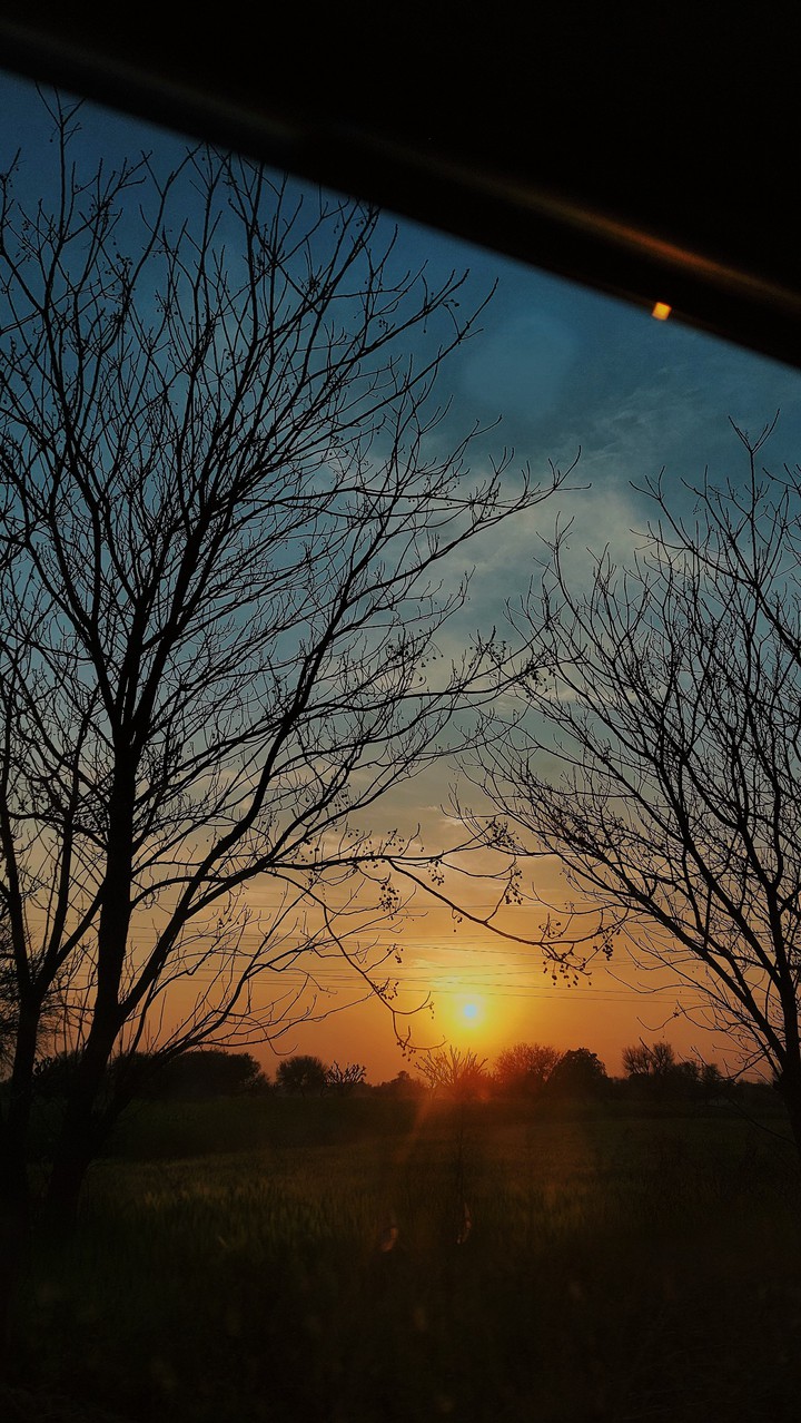 sunset