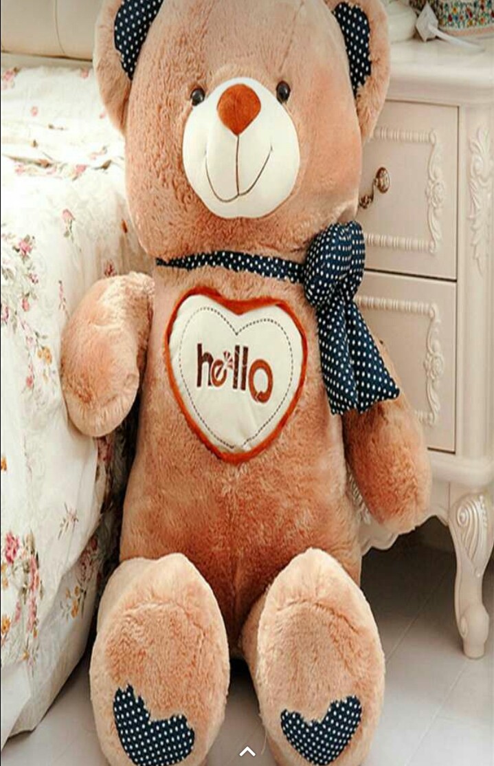 taddy