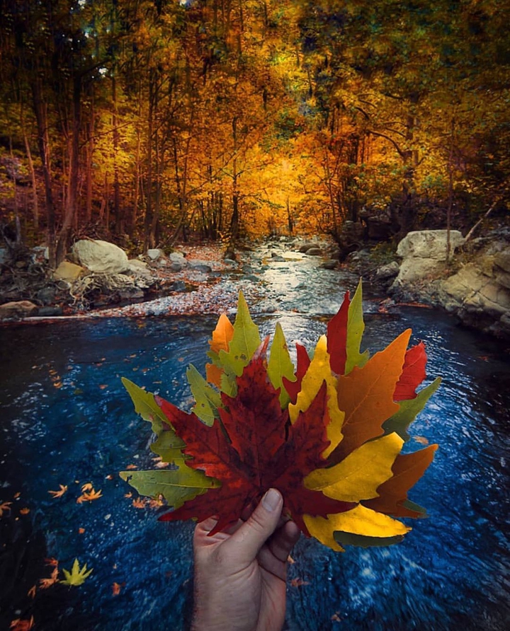 Autumn ... nature ... beautiful ...colorful ...