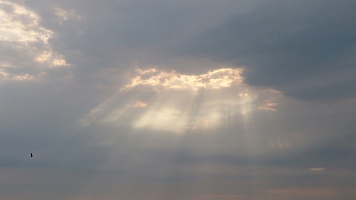 sunlight