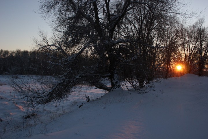 winter evening
