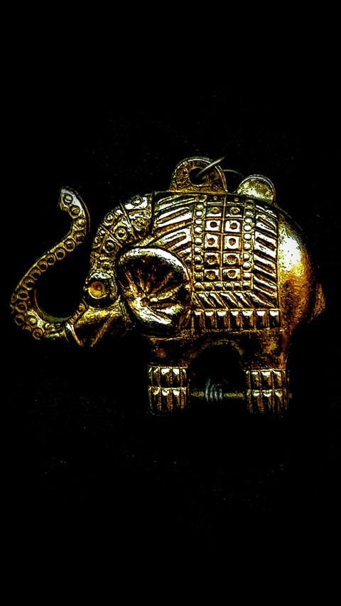 Goldi