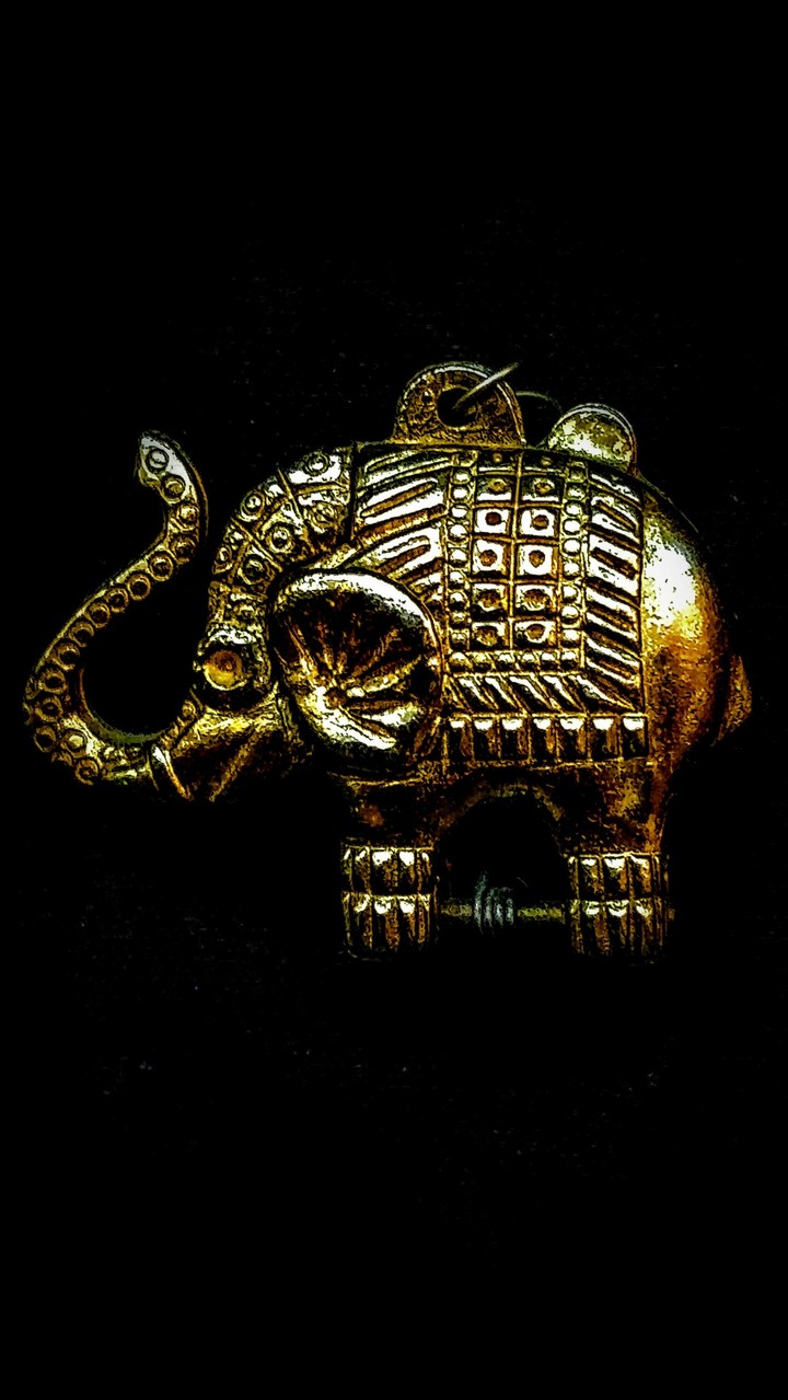 Goldi