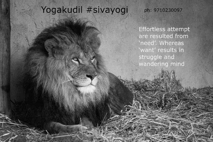 daily message from sivayogi