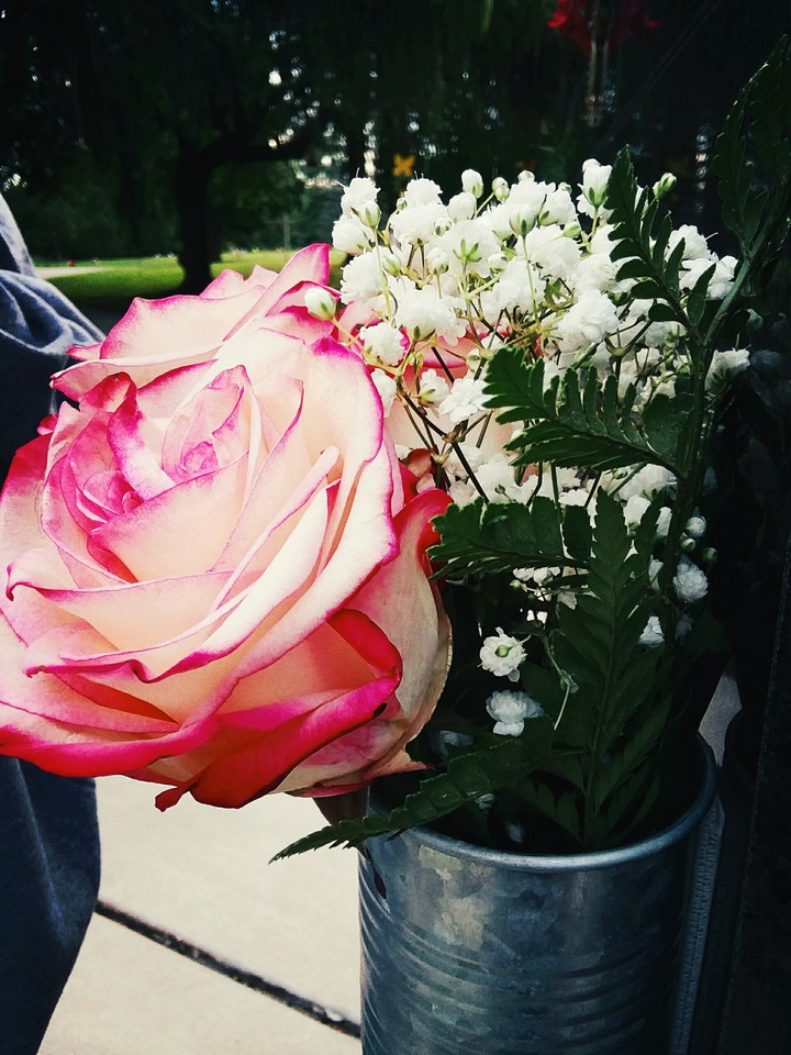 pink flower