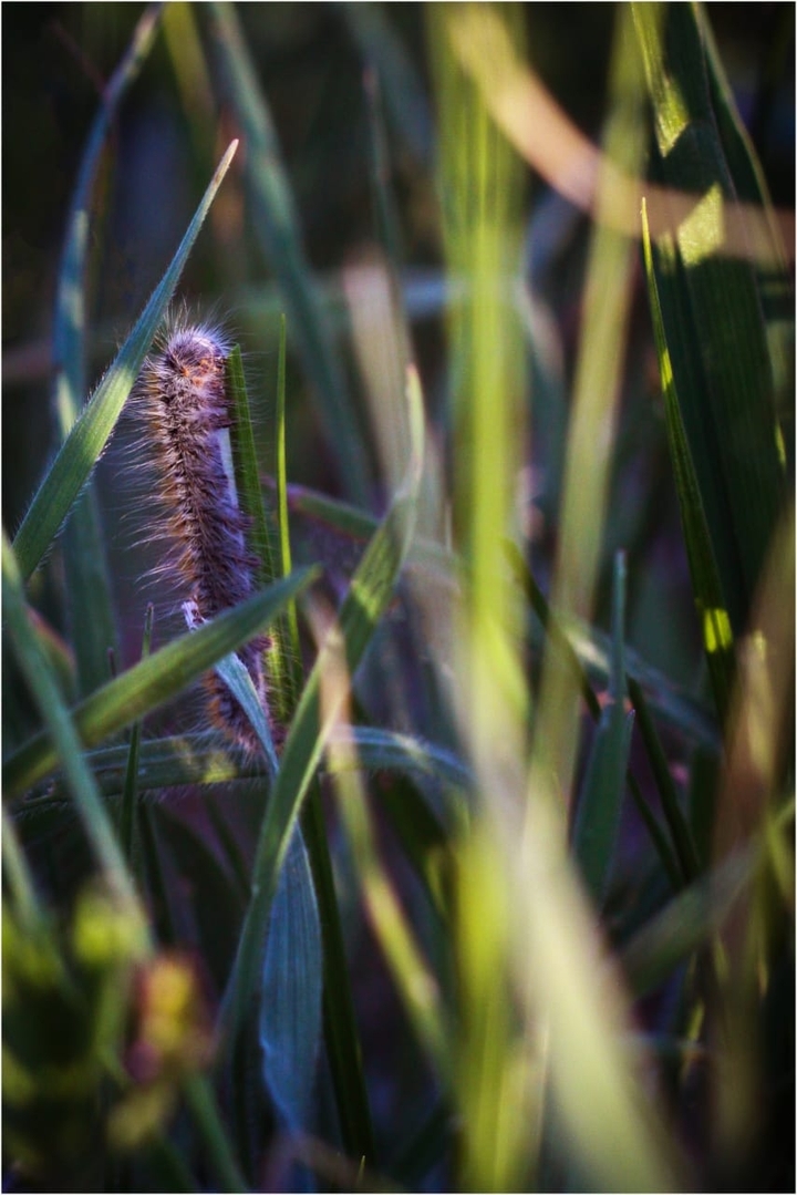 somewhere in the field....