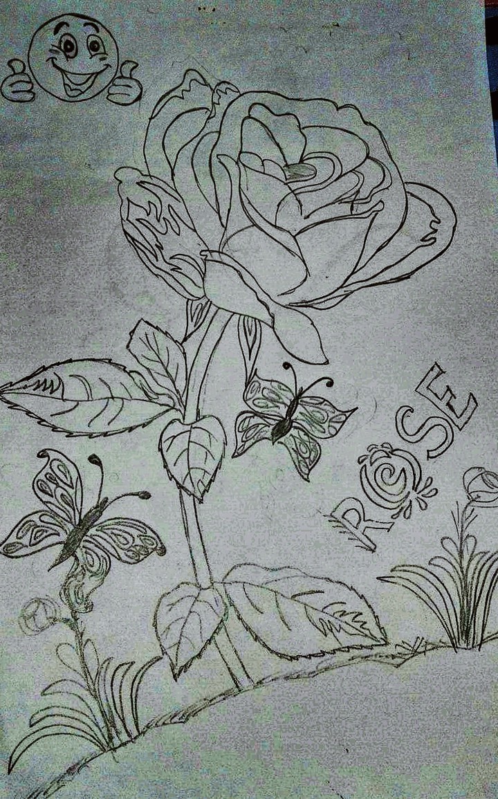 Sketch