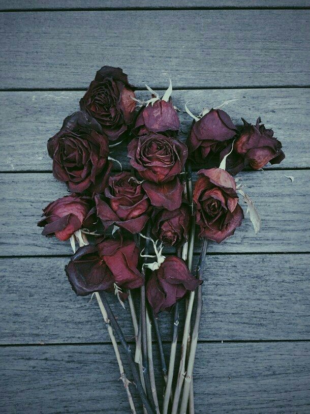 rose
