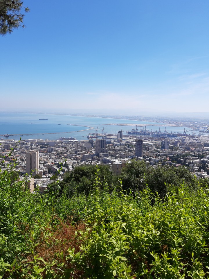 Beautiful city view ?