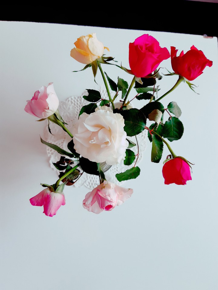 Bouquet de roses