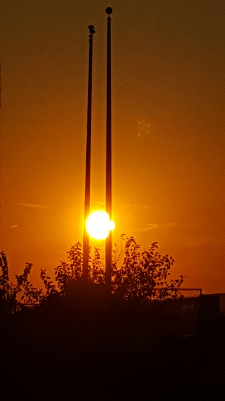 sunset between chopsticks
