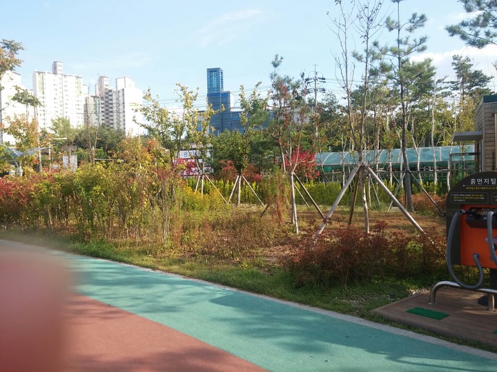 공원 산책로