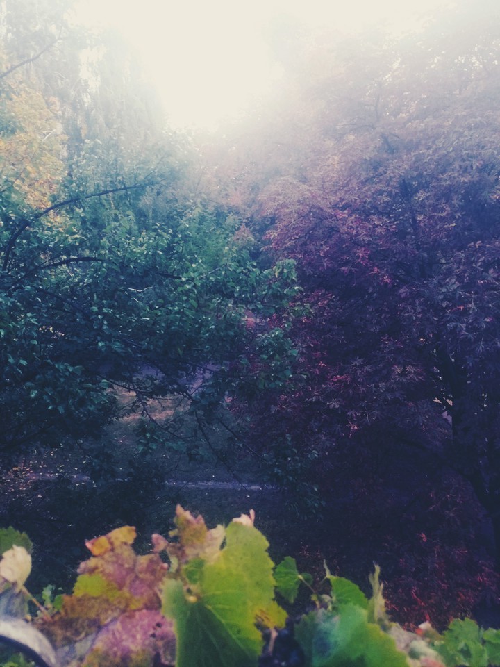 Autumn