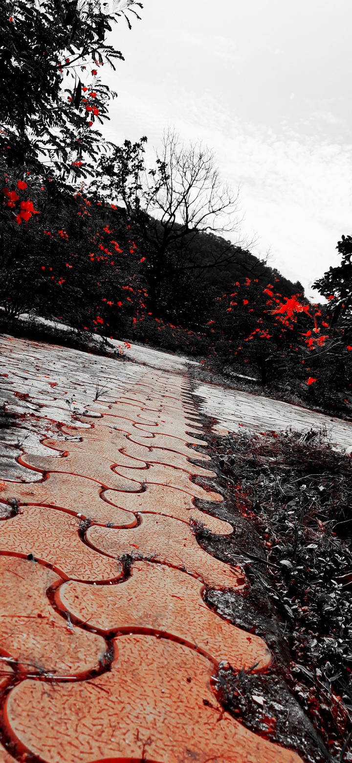 orange , landscape