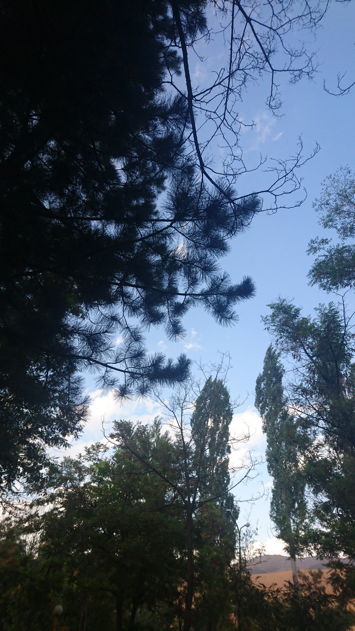 after rain