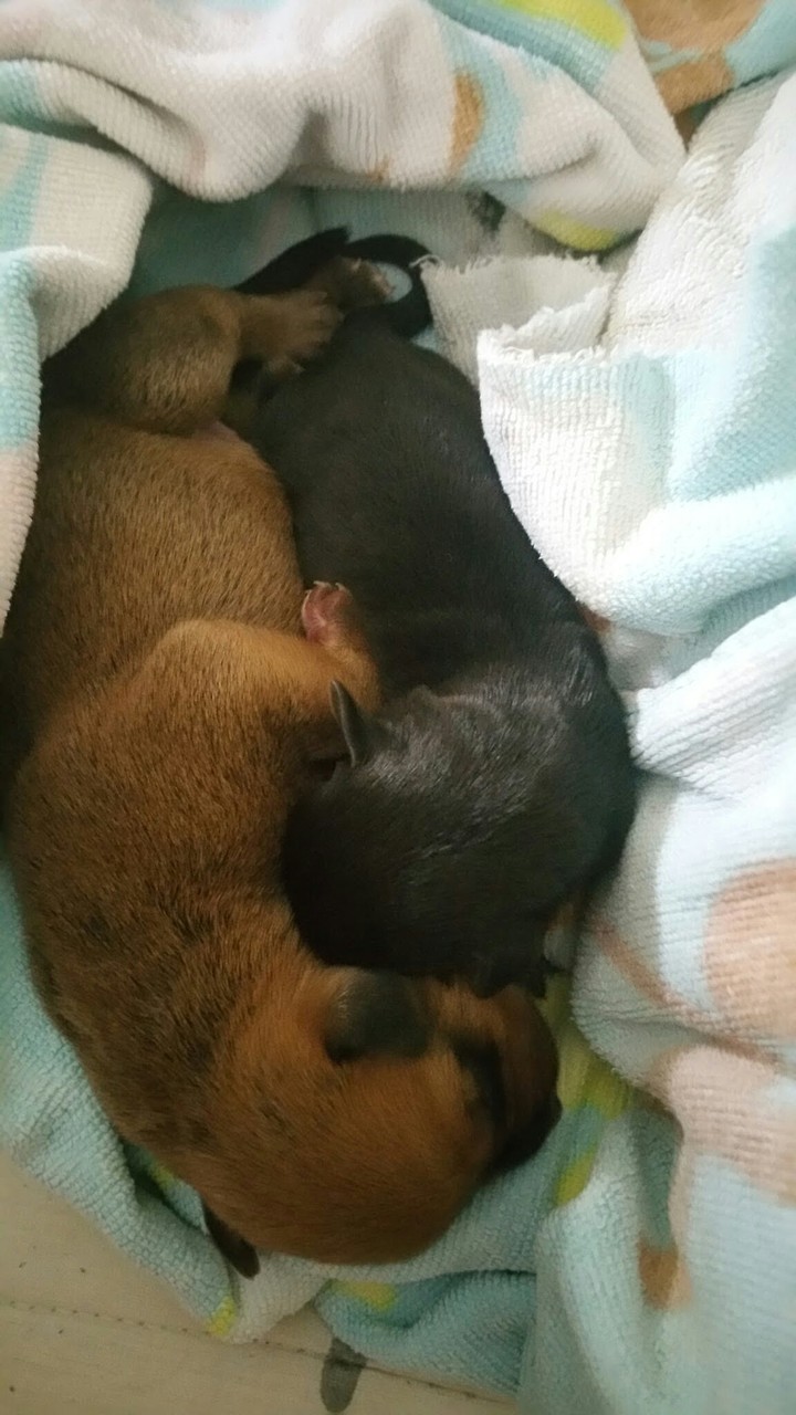 brothers