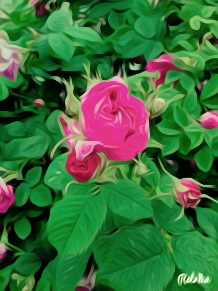 Pink & Green