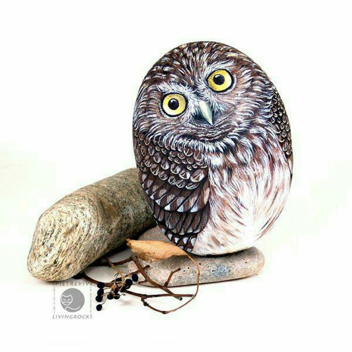Stone painting of An OWL!