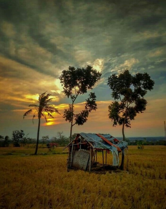 nature