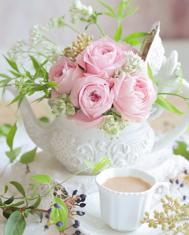 Good morning ❤️