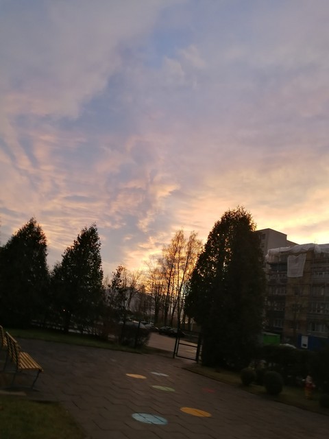 nature