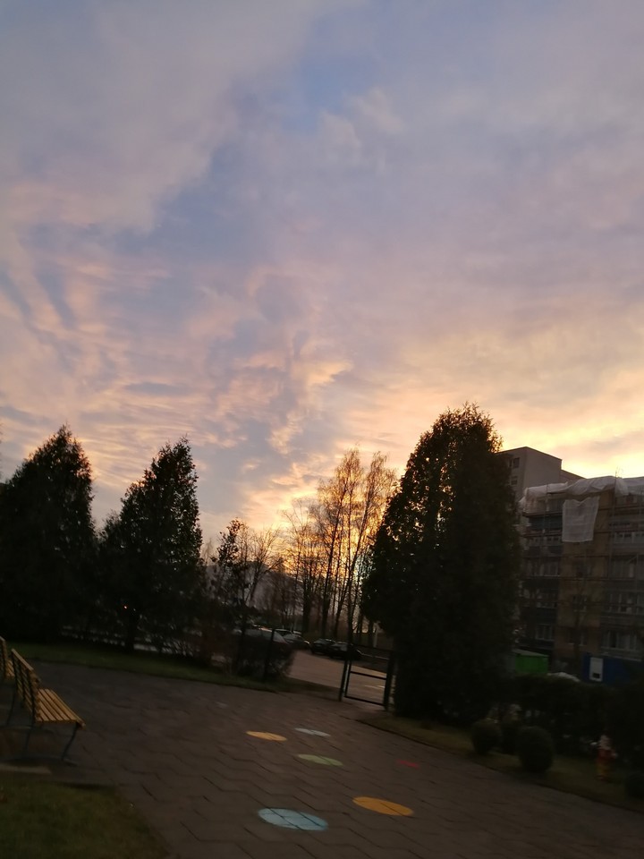 nature