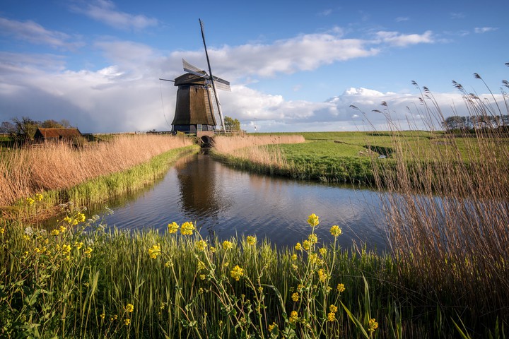 Wind Mill, Netherlands