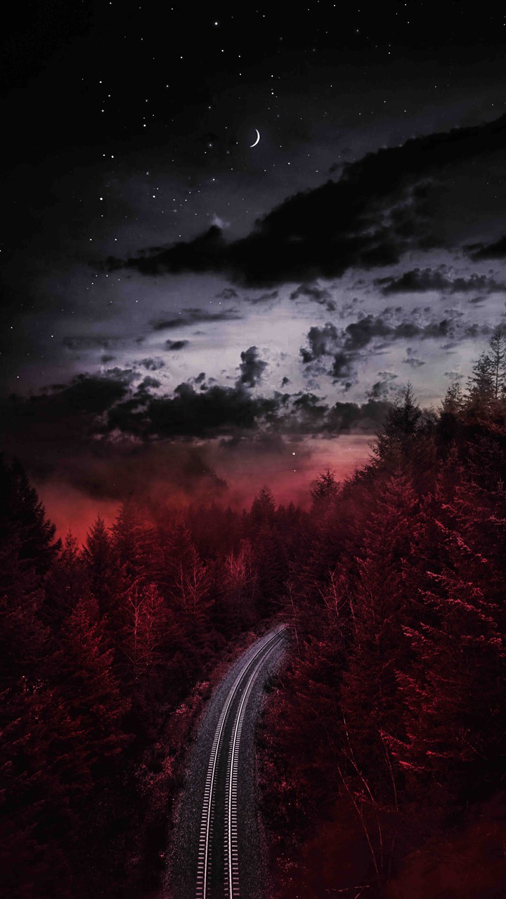 dream