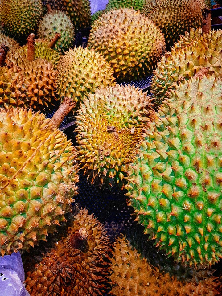 quả sầu riêng