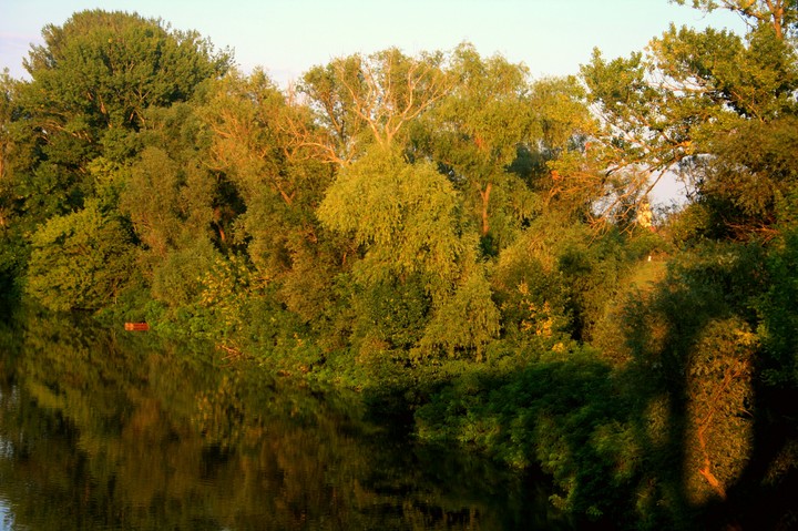 autumn Körös