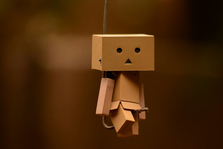 Danbo