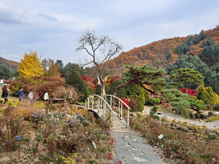 가을풍경