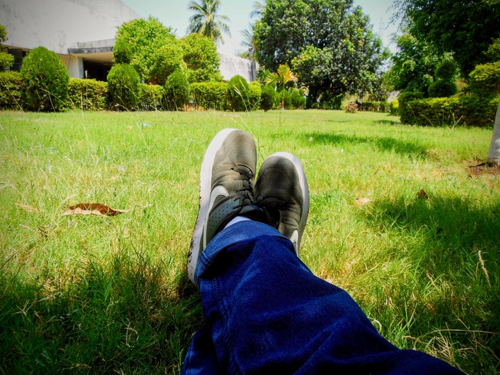 Chillaxing in a Garden...